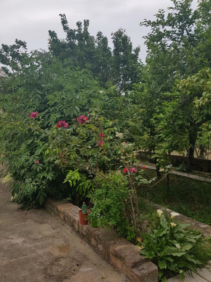 Вілла "Il Nespolo" Скаурі Екстер'єр фото